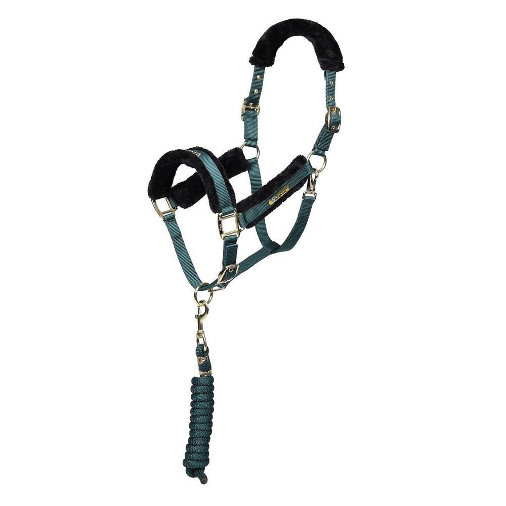 Shires ARMA Logo Headcollar & Lead Rope (Green)
