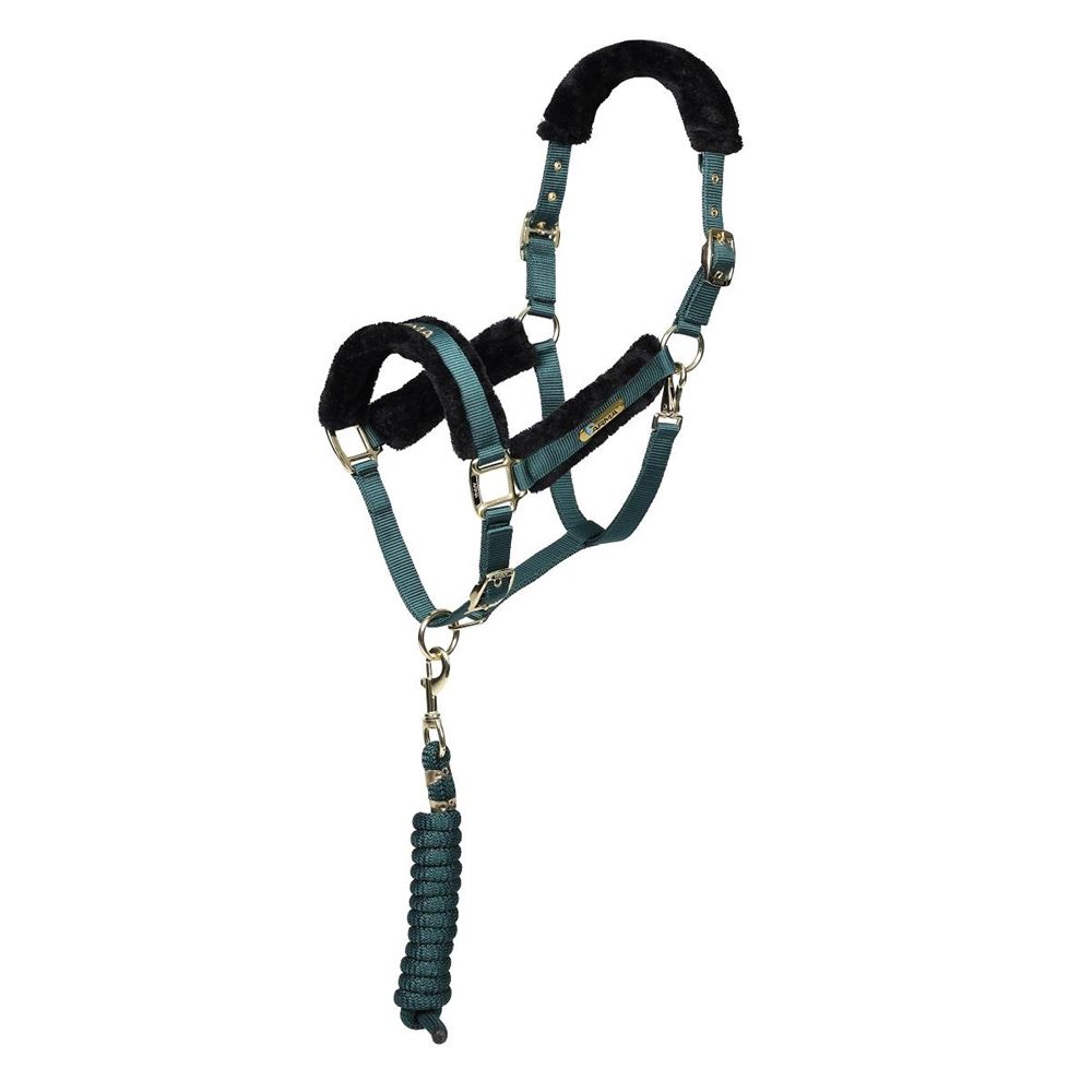 Shires ARMA Logo Headcollar & Lead Rope (Green)