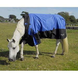 Rhinegold Phoenix Outdoor Rug - 50g (Royal Blue)