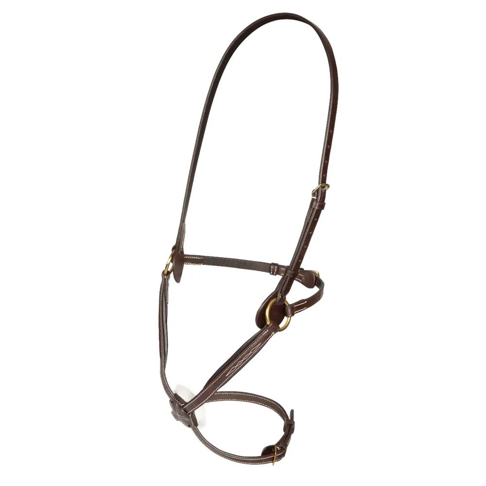 Shires Salisbury Brackley Noseband (Australian Nut)