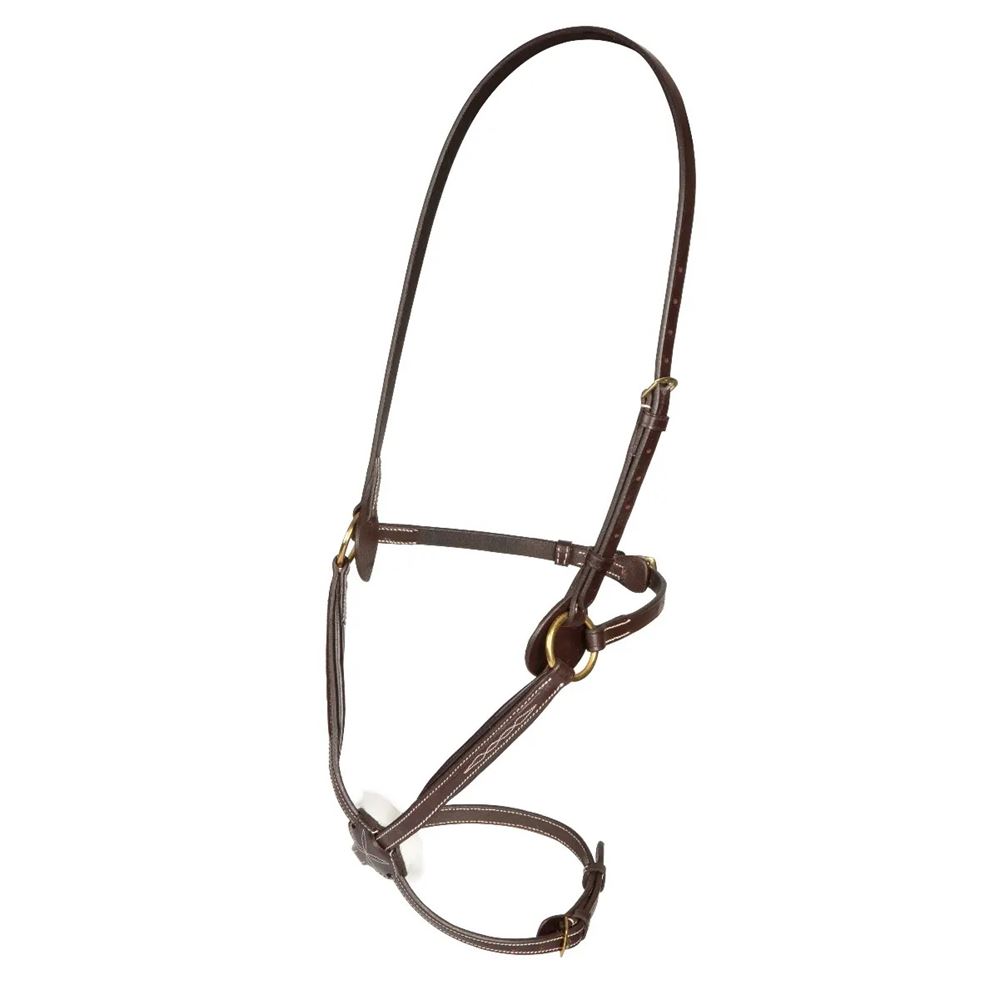 Shires Salisbury Brackley Noseband (Australian Nut)