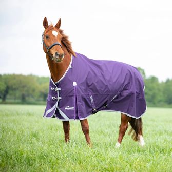 Shires Highlander Original 100 Turnout Rug (Plum)