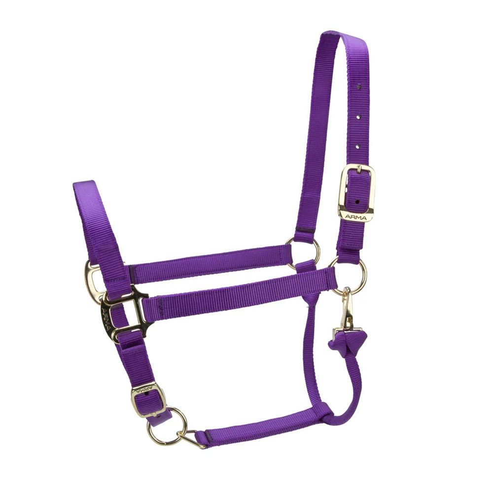 Shires ARMA Premium Adjustable Headcollar (Purple)