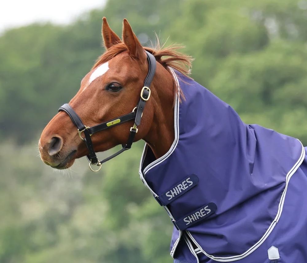 Shires Highlander Original Lite Neck Cover (Navy)