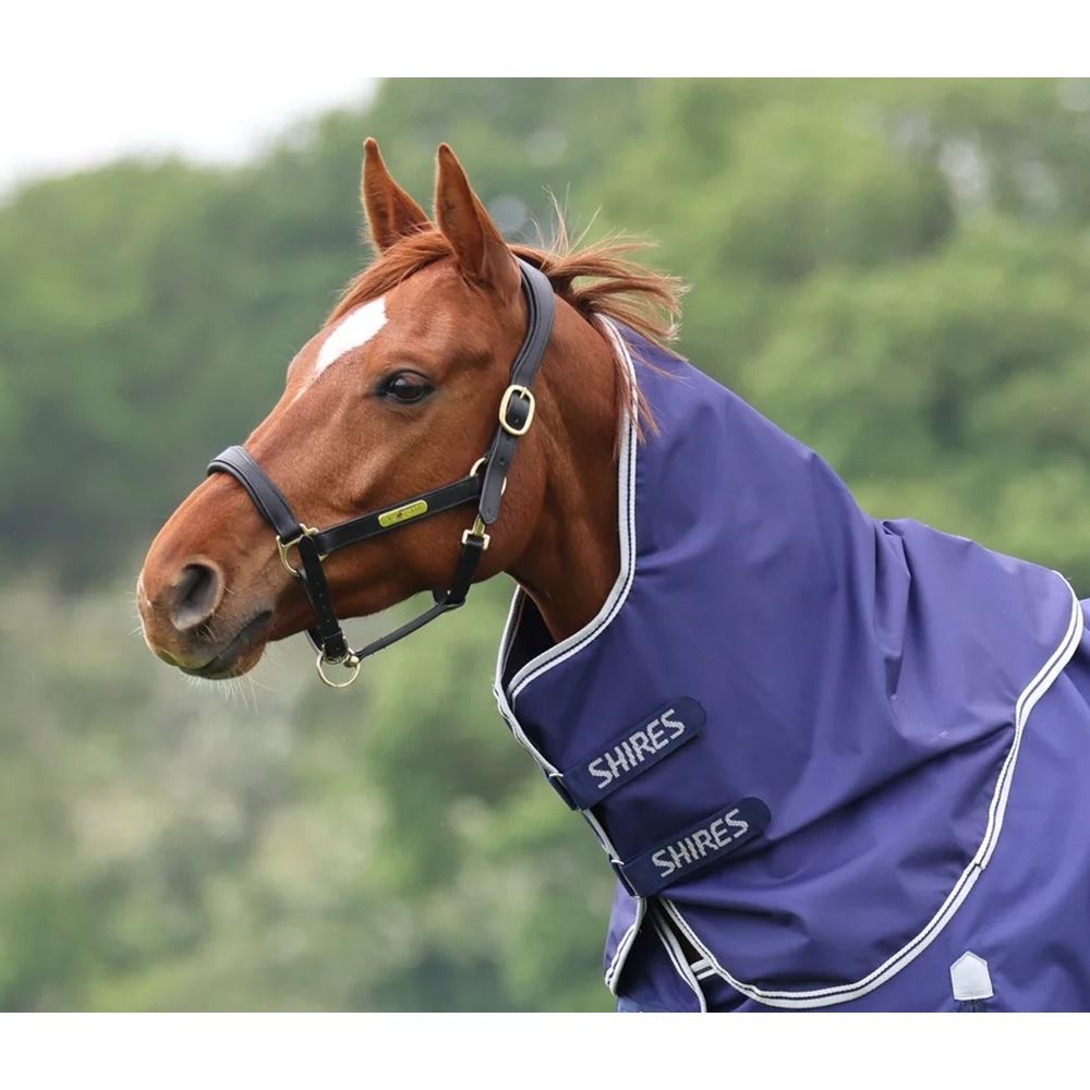 Shires Highlander Original Lite Neck Cover (Navy)