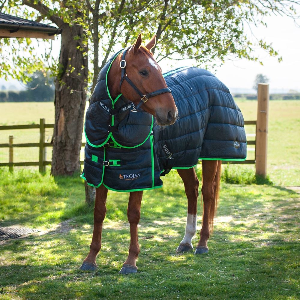 Gallop Trojan Dual 300 Stable Rug & Neck Set (Black/Green)