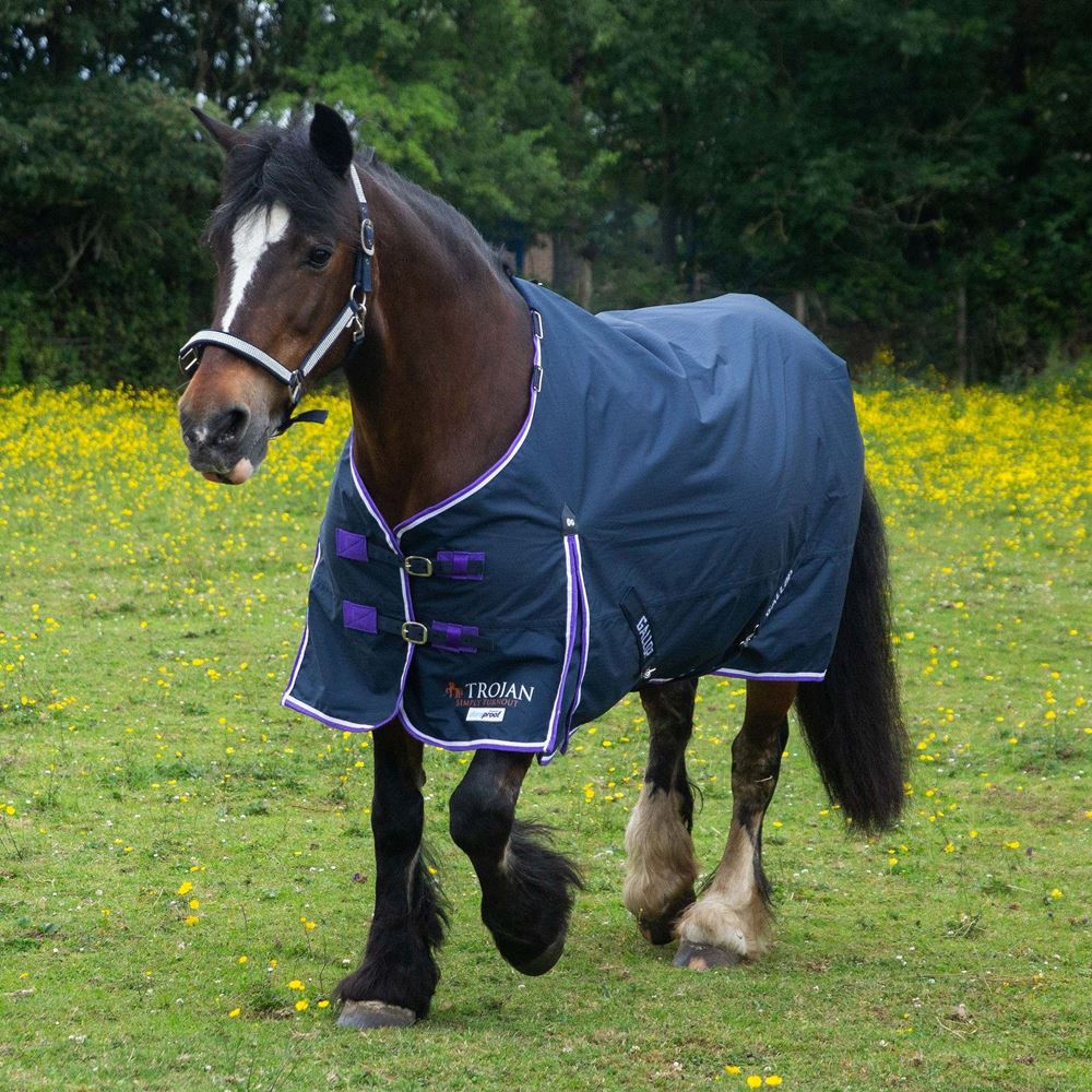 Gallop Ponie DURAPROOF Lightweight Turnout Rug (Navy/Purple)