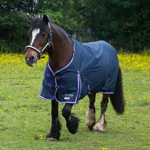 Gallop Ponie DURAPROOF Lightweight Turnout Rug (Navy/Purple)
