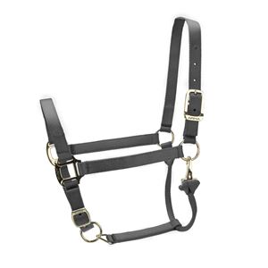 Shires ARMA Premium Adjustable Headcollar (Grey)