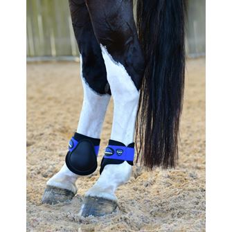 Weatherbeeta Tough-Tec Prime Fetlock Boots (Black/Cobalt)