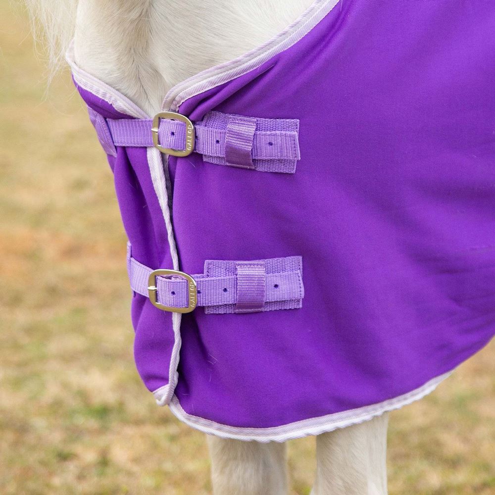 Gallop Ponie Purple Jersey Cooler Rug
