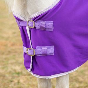 Gallop Ponie Purple Jersey Cooler Rug