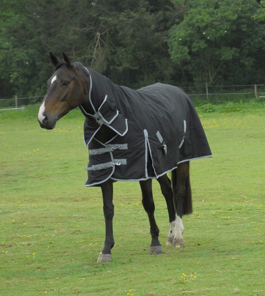 Rhinegold Konig Full Neck Combo Outdoor Rug - 200g (Black)