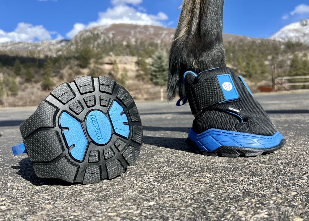 Easyboot RX Hoof Therapy Boot (Sizes 00-3)