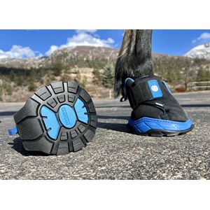 Easyboot RX Hoof Therapy Boot (Sizes 00-3)