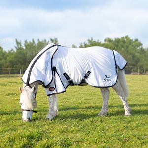 Gallop Ponie Dual 5-Point Fly Rug & Neck Set