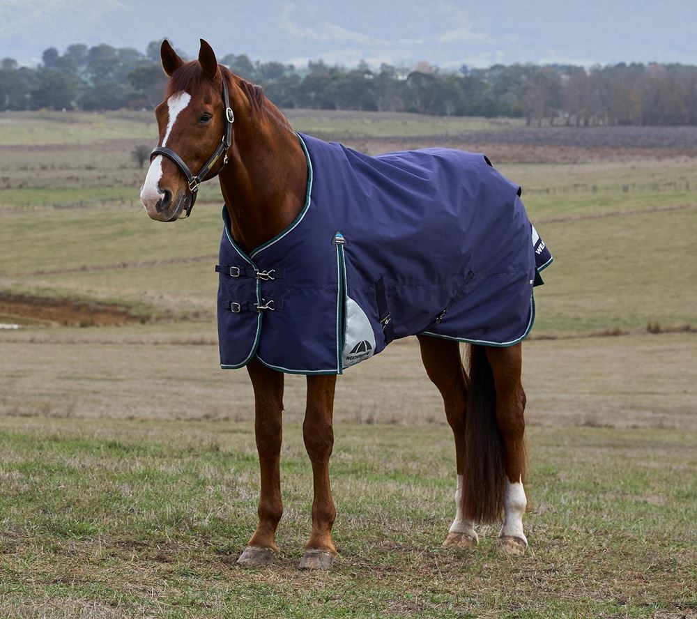 Weatherbeeta Comfitec Plus Dynamic Turnout Standard - 100g (Navy/Forest Green)