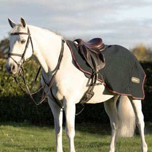 Hy Equestrian DefenceX System Cool Control Exercise Sheet