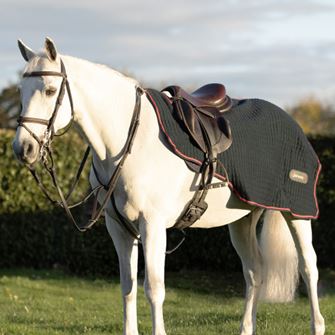 Hy Equestrian DefenceX System Cool Control Exercise Sheet