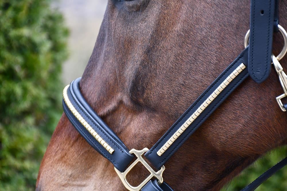 Rhinegold Bellagio Leather Headcollar With Brass Clincher Detailing