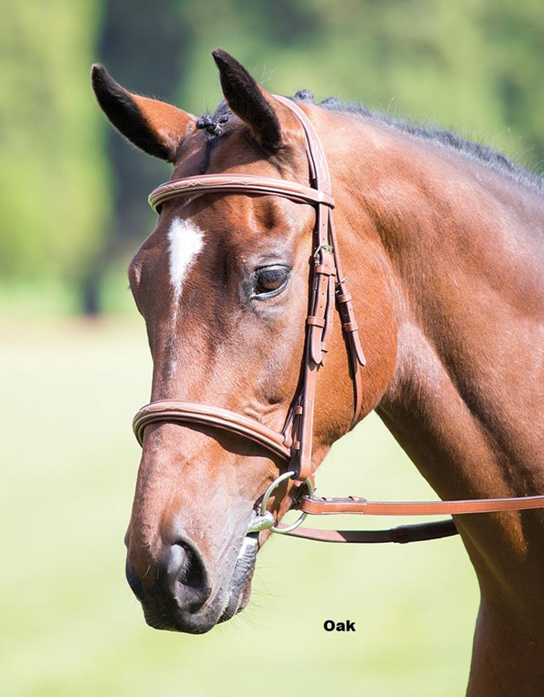 Shires Avignon Padded Raised Cavesson Bridle