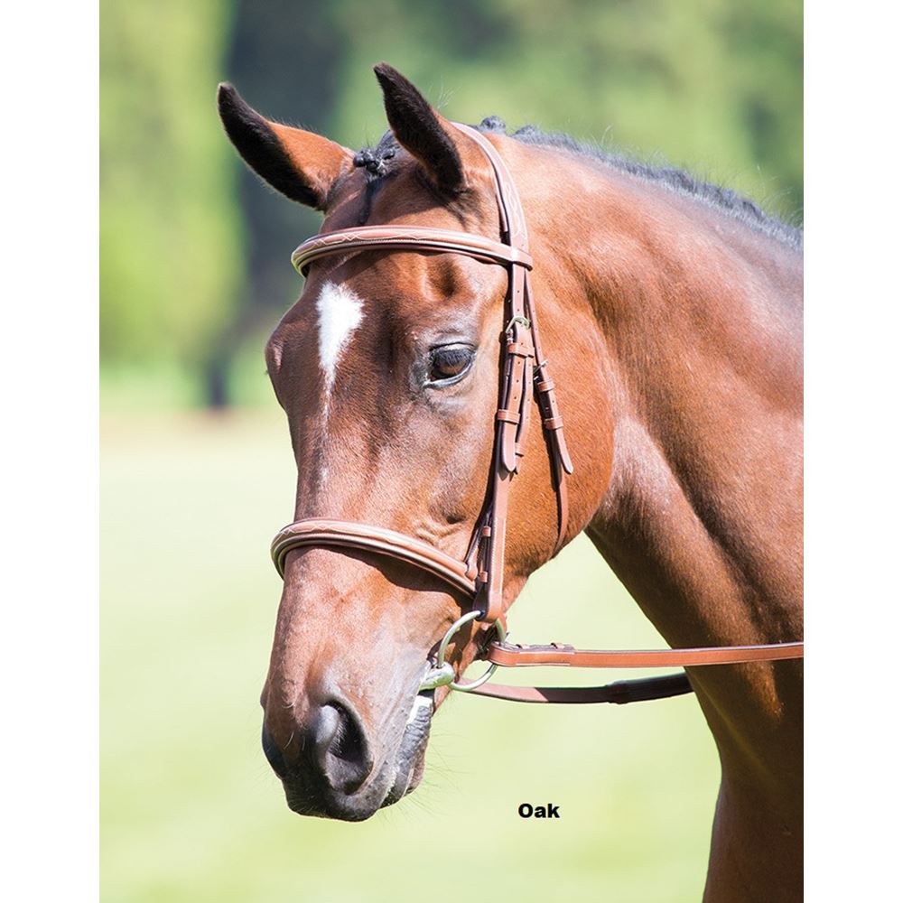 Shires Avignon Padded Raised Cavesson Bridle