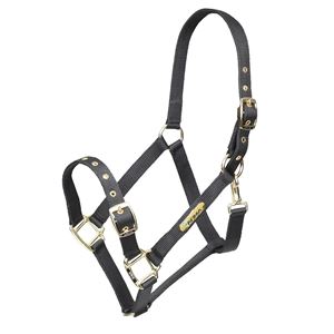 Shires ARMA Adjustable Headcollar (Black)