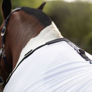 Gallop Dual Fly Rug
