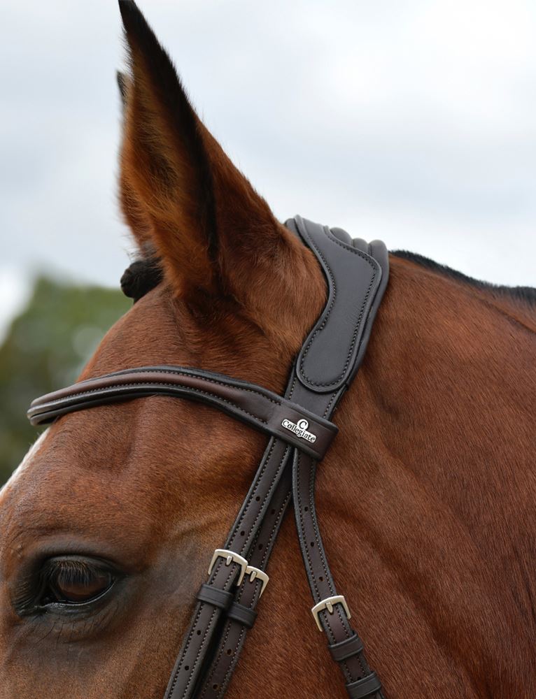 Weatherbeeta Collegiate Comfitec Opulux Plain Grackle Bridle