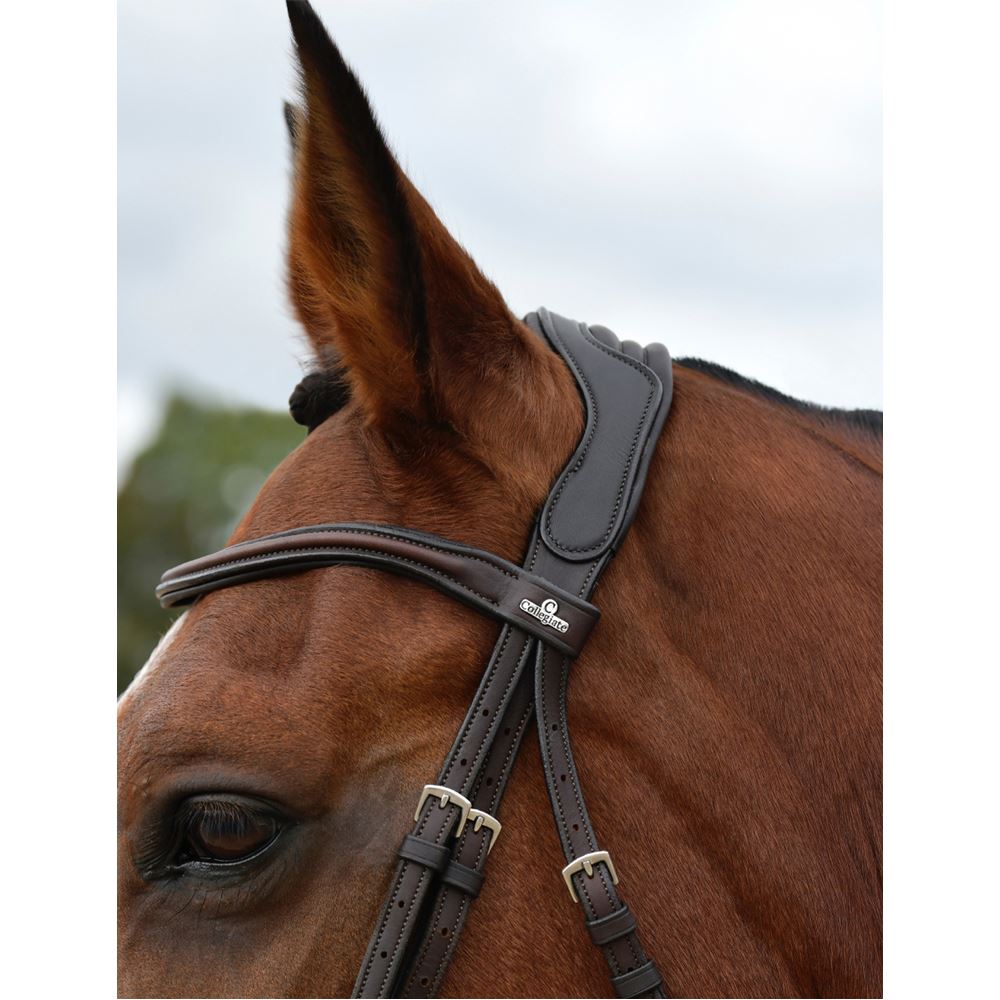 Weatherbeeta Collegiate Comfitec Opulux Plain Grackle Bridle