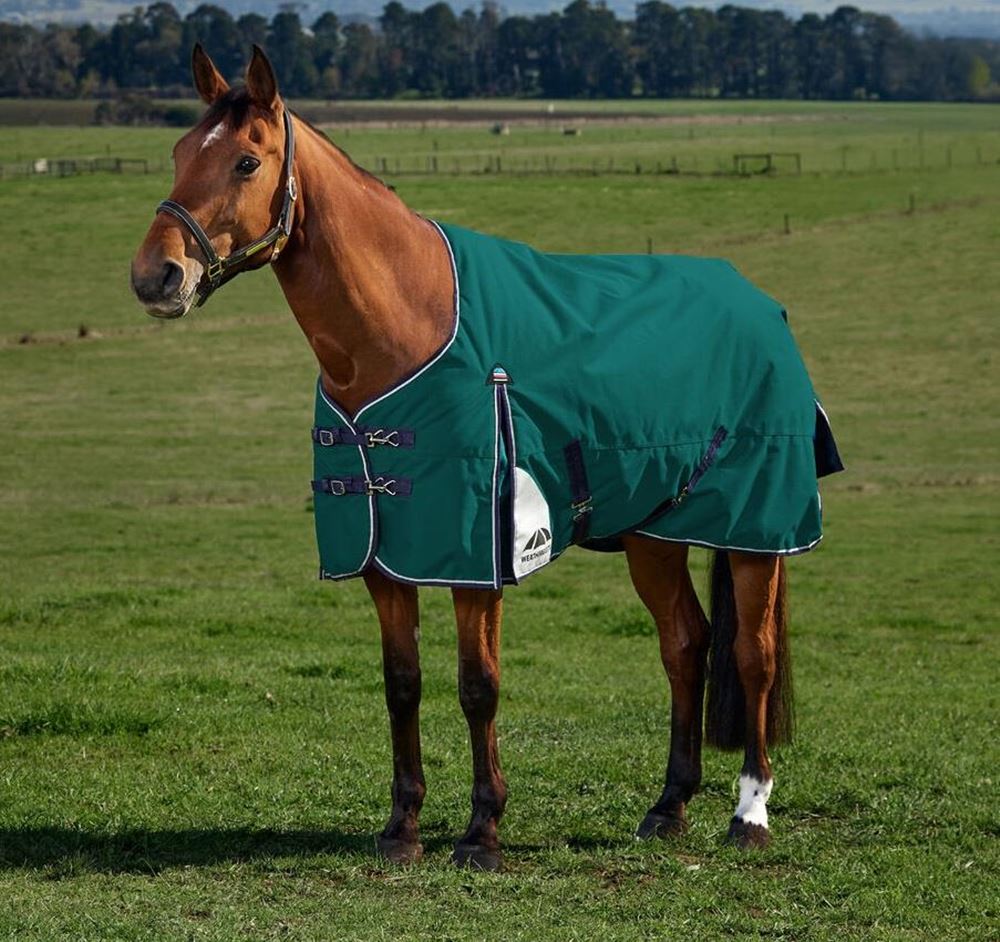Weatherbeeta Comfitec Plus Dynamic Turnout Standard - 100g (Forest Green/Navy)