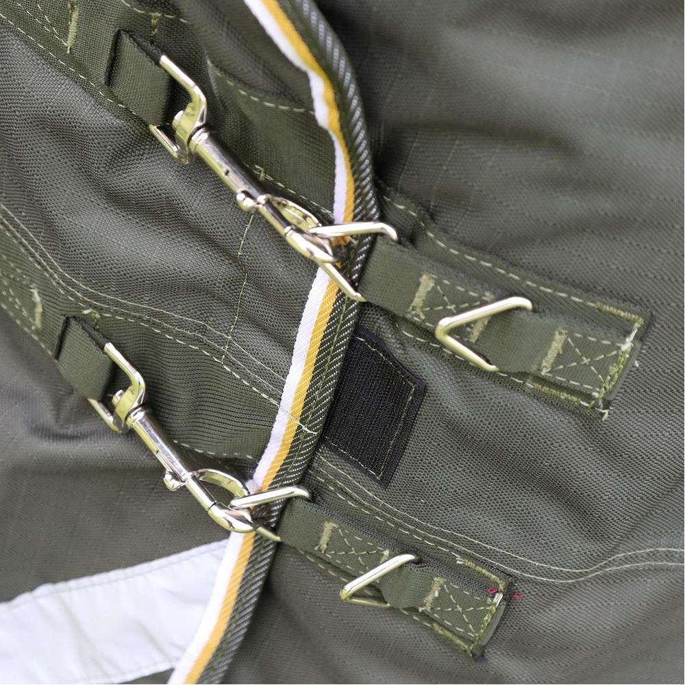 Shires Highlander Plus 50 Turnout Rug (Green)