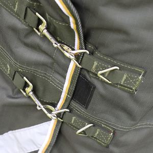 Shires Highlander Plus 50 Turnout Rug (Green)