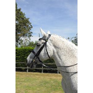 Rhinegold Anatomic Double Bridle With Crank Style Noseband