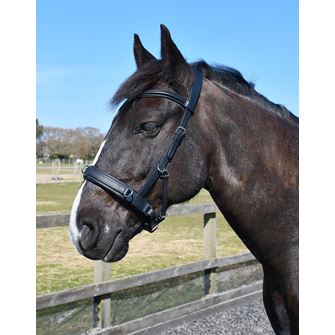 Rhinegold Leather Lunge Cavesson With Detachable Bit Attachment