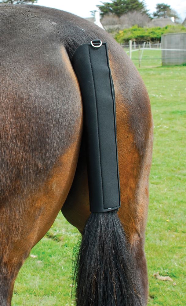 Rhinegold Neoprene Tailguard