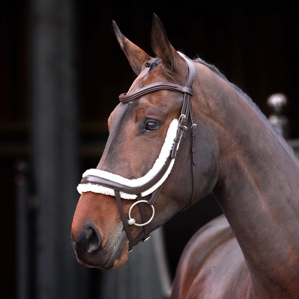 Shires Velociti Rapida Fleece Lined Curved Flash Noseband