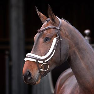 Shires Velociti Rapida Fleece Lined Curved Flash Noseband