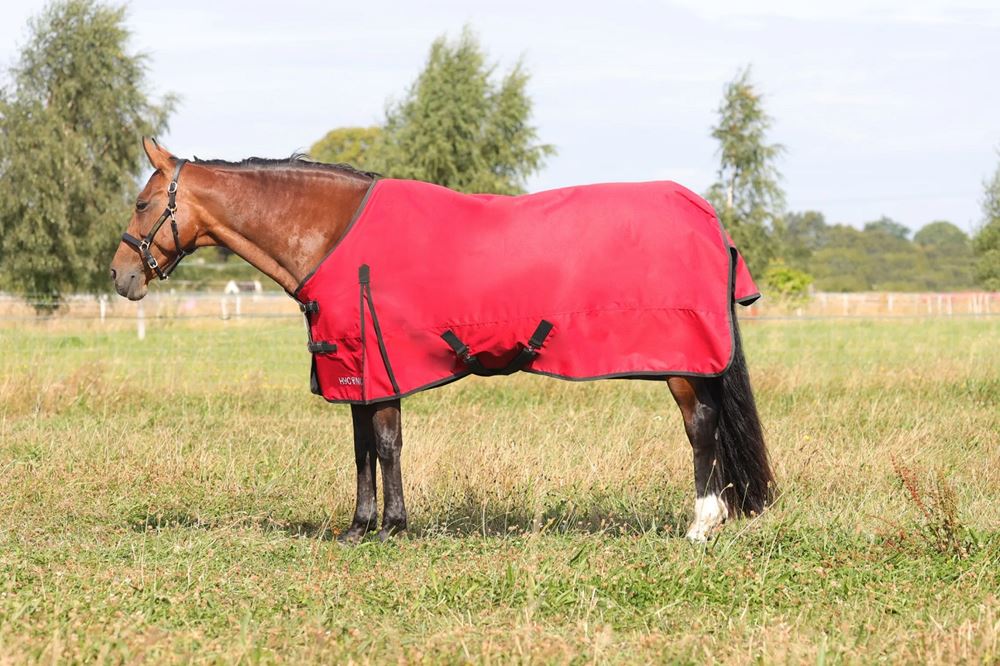 Hy Equestrian HyCONIC 50g Turnout Rug (Red/Charcoal)