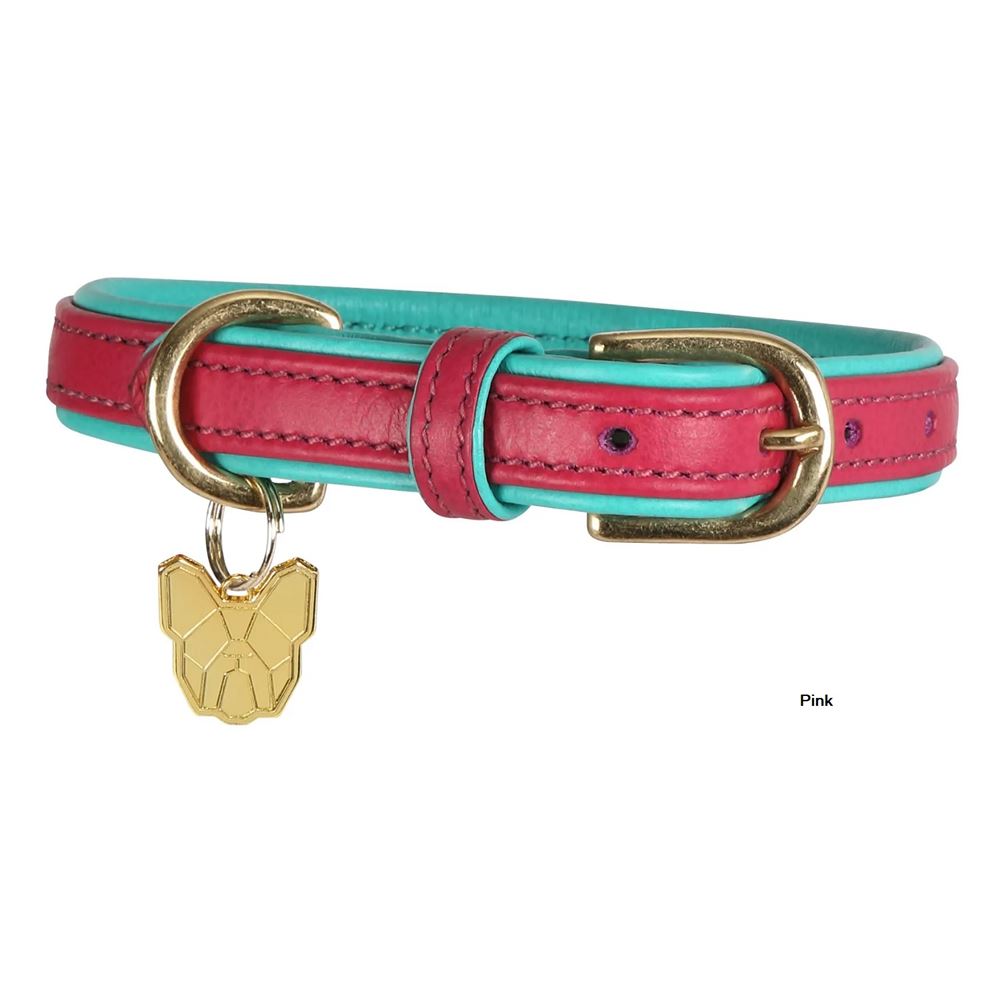 Shires Digby & Fox Padded Leather Dog Collar (L)