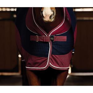 Weatherbeeta Therm-Air Cooler Standard (Navy/Burgundy)