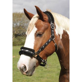 Rhinegold Padded Logo Headcollar (Black)