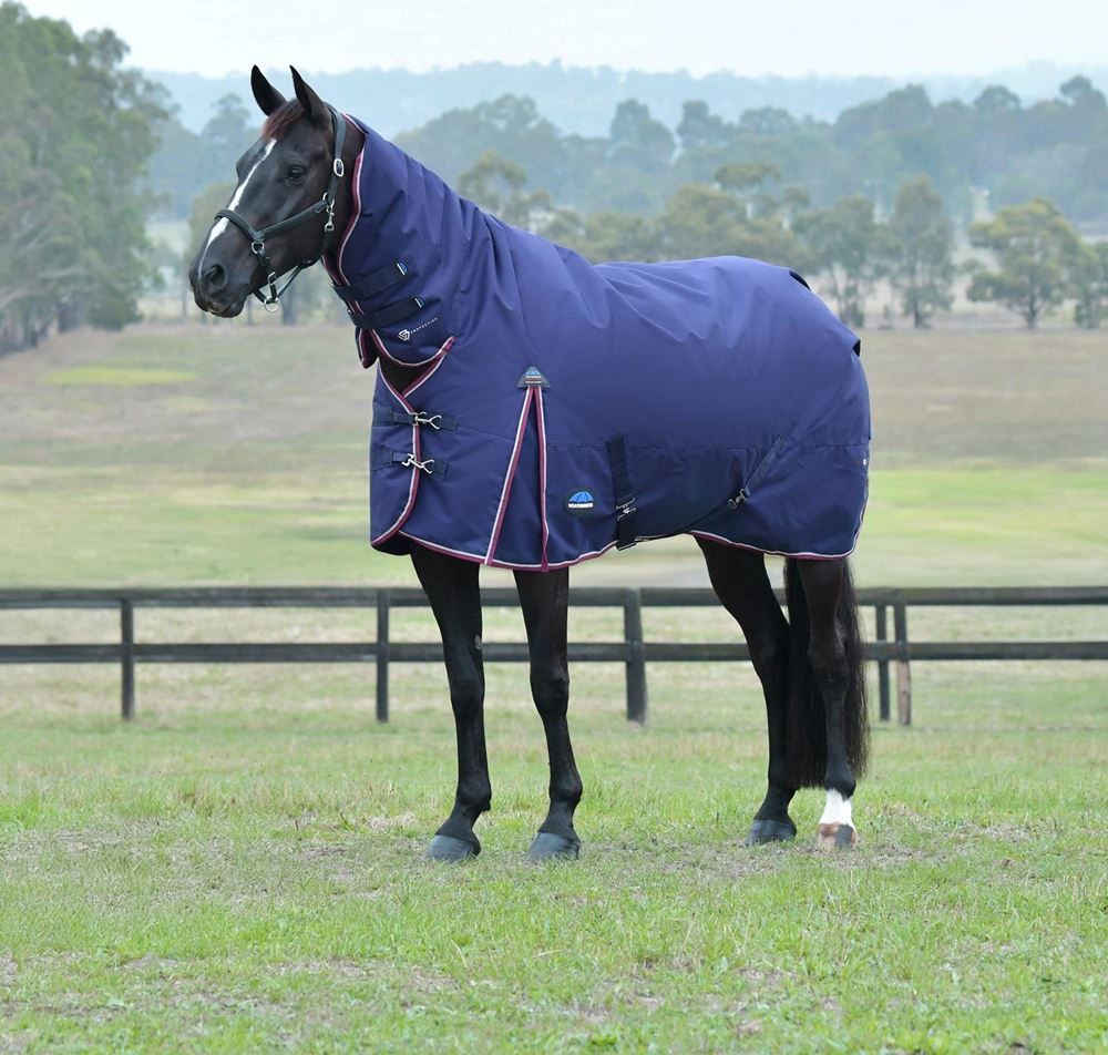 Weatherbeeta Comfitec Essential Turnout Combo - 360g (Navy/Burgundy)