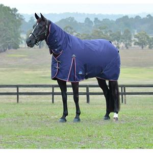 Weatherbeeta Comfitec Essential Turnout Combo - 360g (Navy/Burgundy)