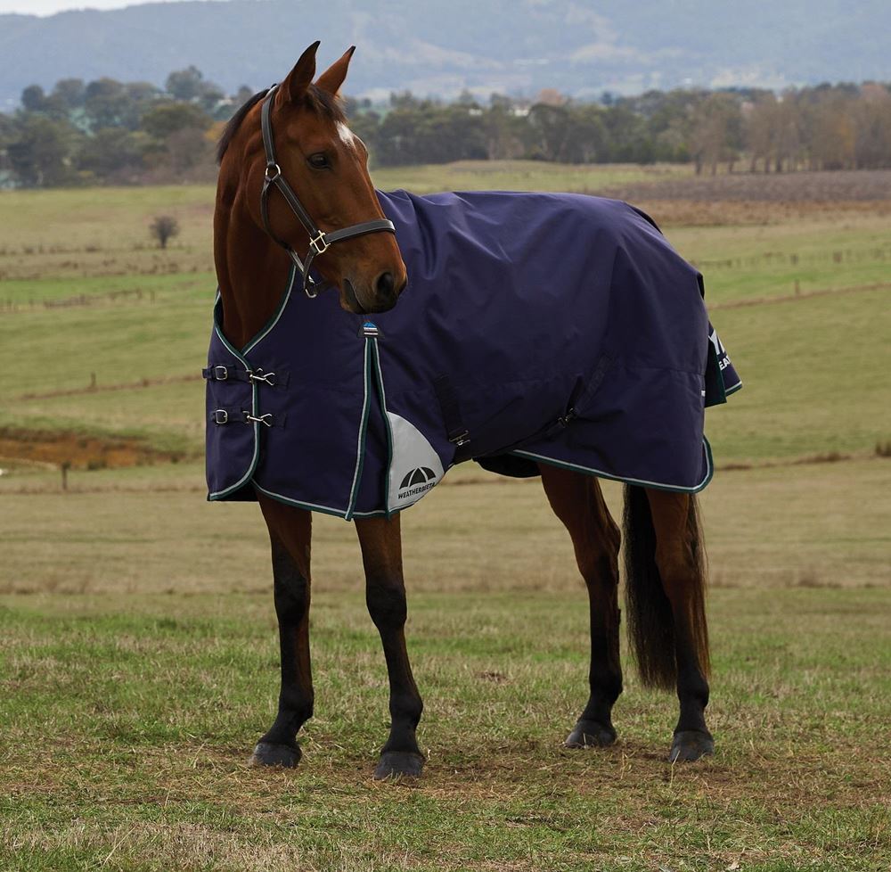 Weatherbeeta Comfitec Plus Dynamic Turnout High Neck - 220g (Navy/Forest Green)