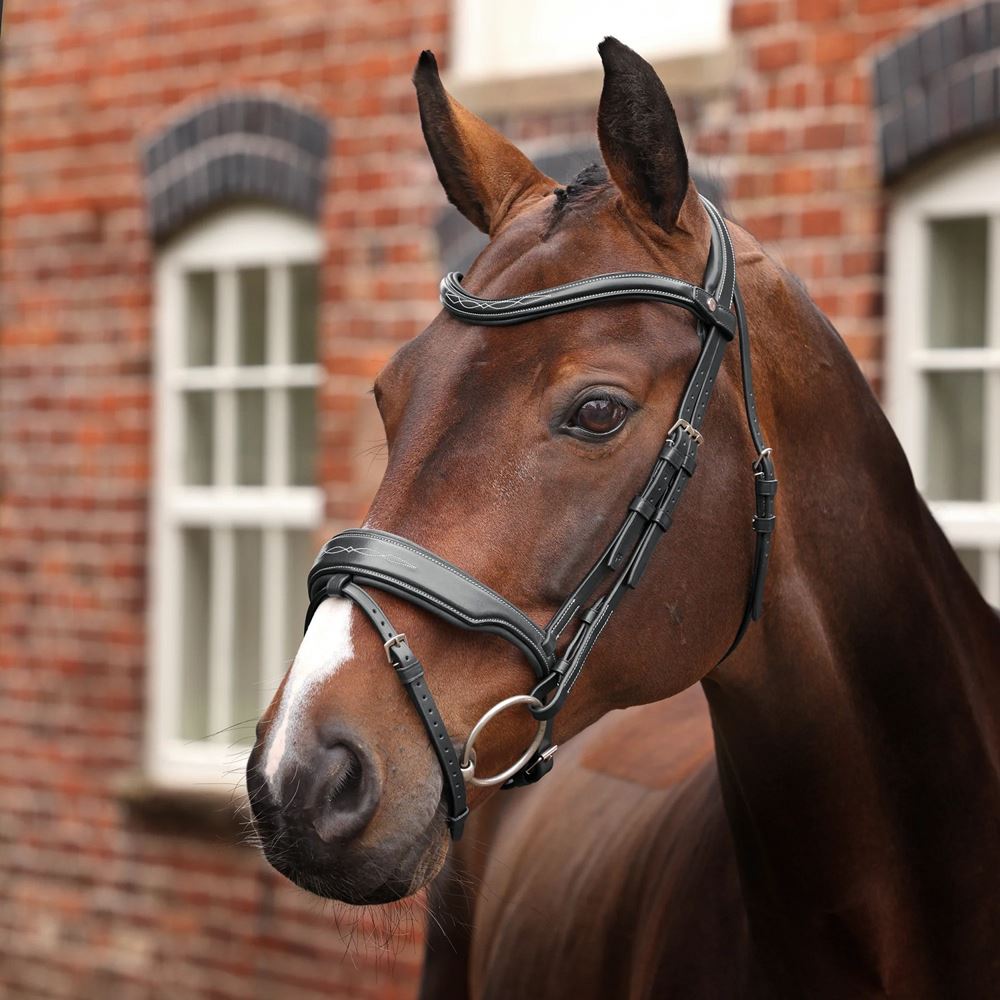 Shires Velociti LUSSO Opus 180M Dressage Flash Bridle (Black)