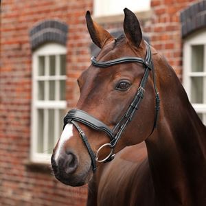 Shires Velociti LUSSO Opus 180M Dressage Flash Bridle (Black)
