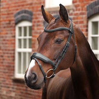Shires Velociti LUSSO Opus 180M Dressage Flash Bridle (Black)