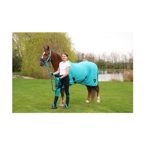 Hy Equestrian Belton Children’s Half Chaps (Navy/Teal)