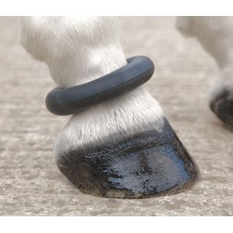Shires Fetlock Ring